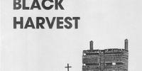 Black Harvest 1